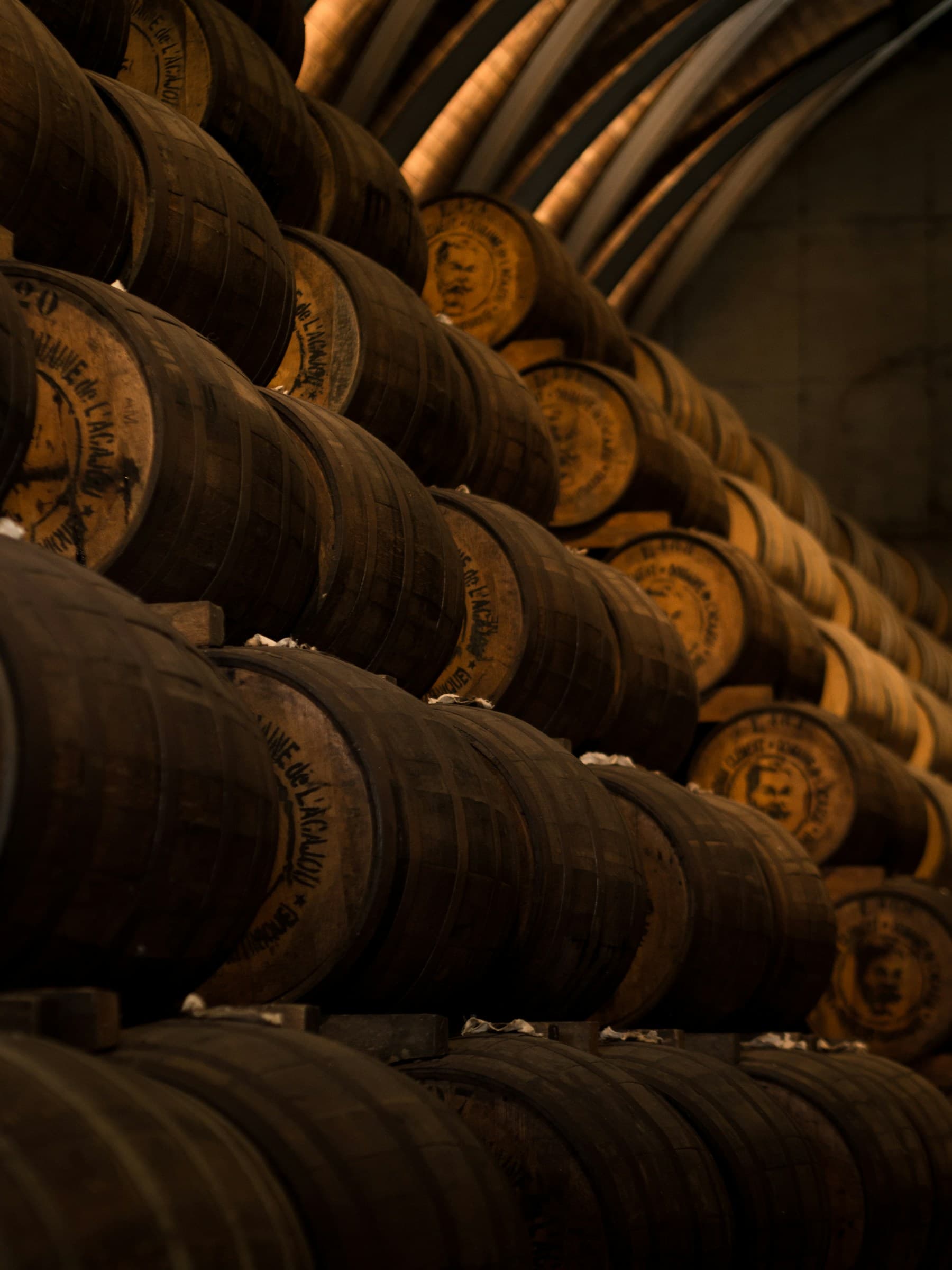 Bodega tradicional con barricas de roble y luz tenue